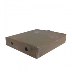 CAJA PIZZA.21X21 MICRORRGDA...