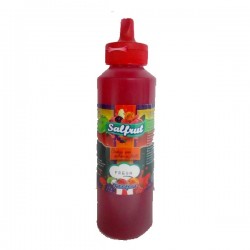 SALFRUT FRESA X 320 GR